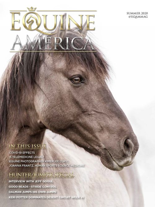 American Equine Magazine
