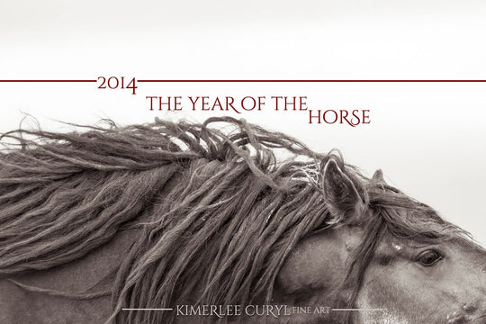 2014 - THE YEAR OF THE HORSE - CHINESE NEW YEAR