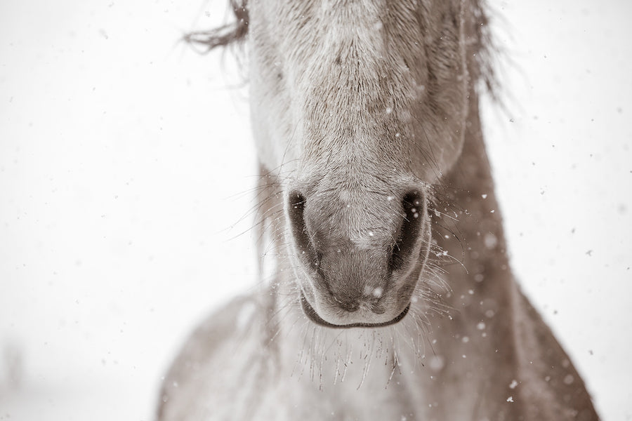 Icicles