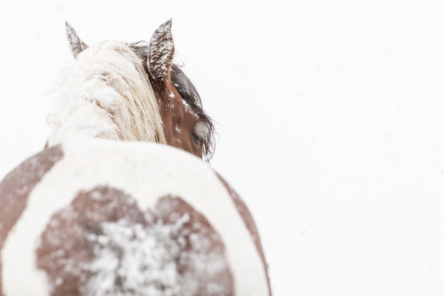 Snow Heart